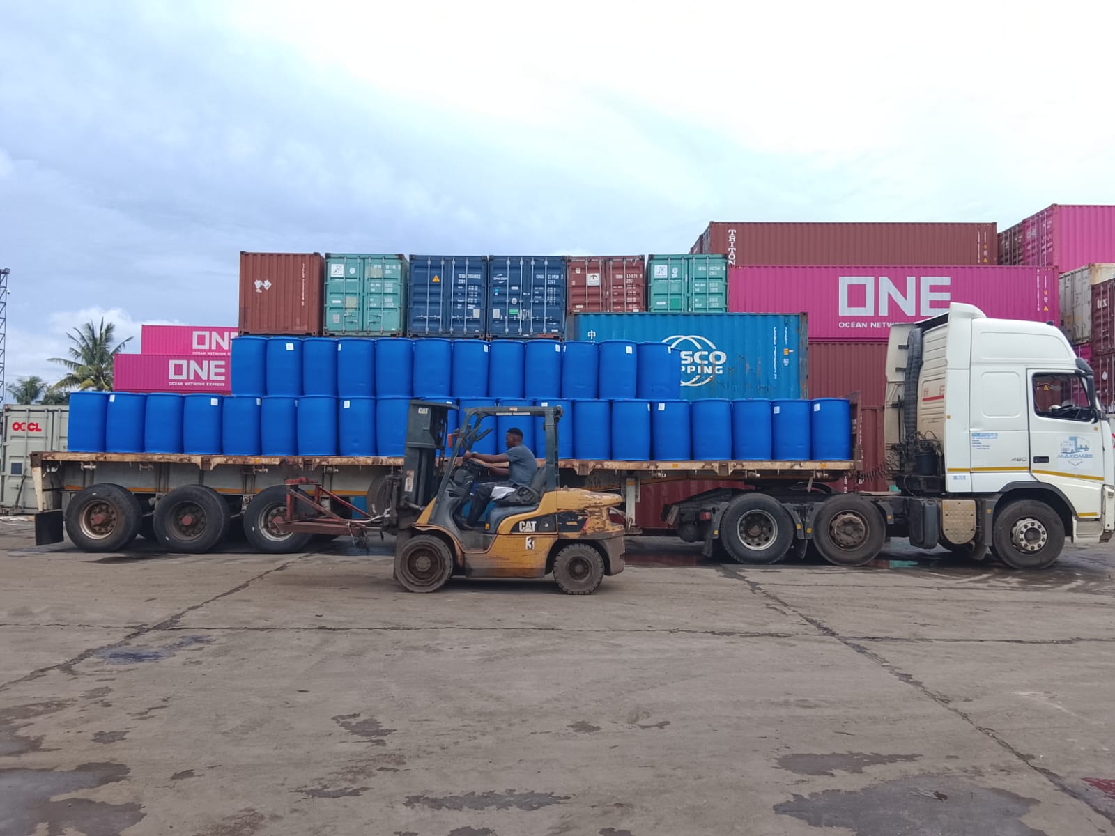 How Elbaliz Simplifies Cross-Border Freight in Tanzania